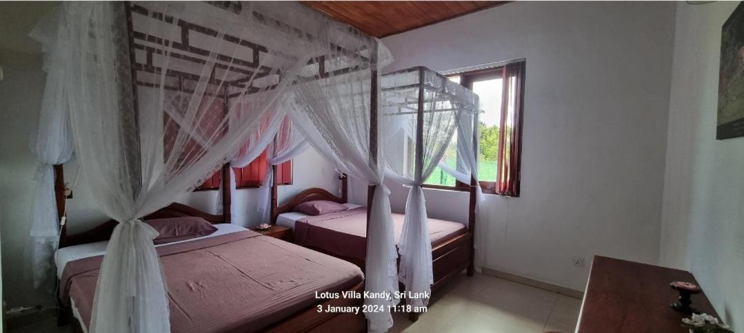 Lotus Villa Kandy Peradeniya Esterno foto