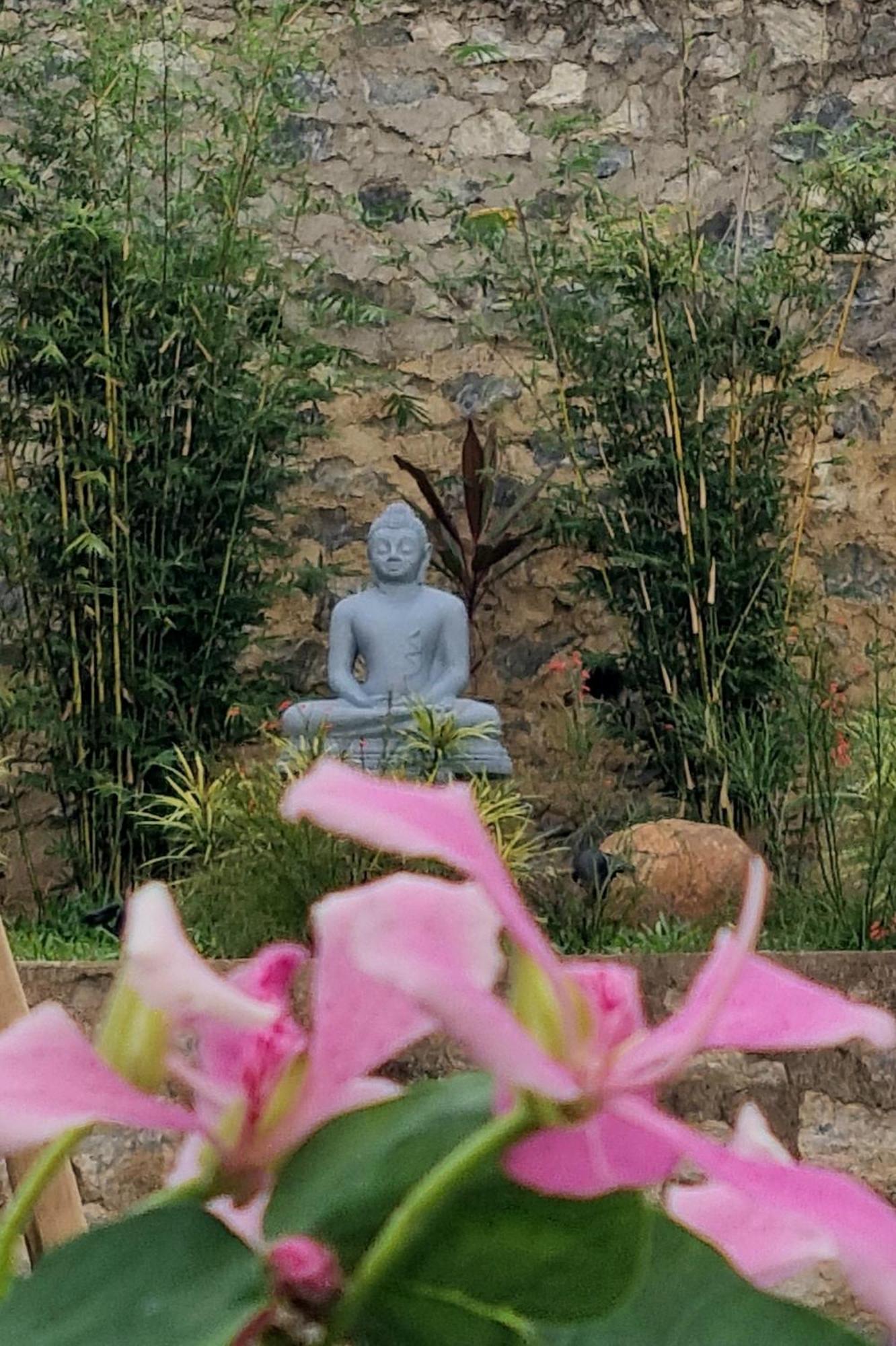 Lotus Villa Kandy Peradeniya Esterno foto